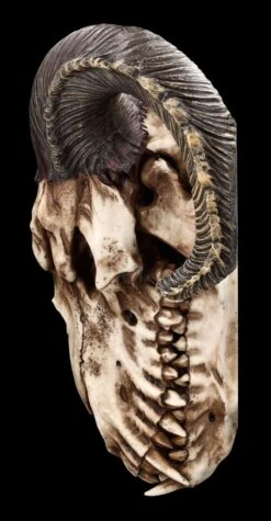 Wandrelief - Teuflischer Schädel Mit Pentagramm -Statuen Modell Verkauf 2D FS23952 Wandrelief Teuflischer Schadel mit Pentagramm 2 1280x1280