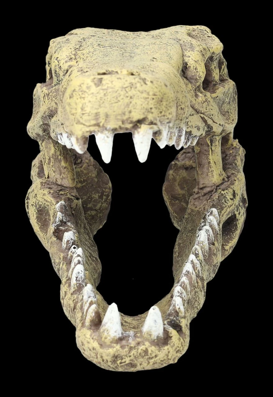 Aquarium Figur - Krokodilkopf M 6 Aquarium Figur - Krokodilkopf M – Bild 4