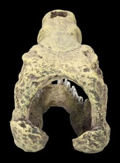 Aquarium Figur - Krokodilkopf M 13 Aquarium Figur - Krokodilkopf M -Statuen Modell Verkauf 2D FS24144 Aquarium Figur Krokodilkopf M 4 1280x1280