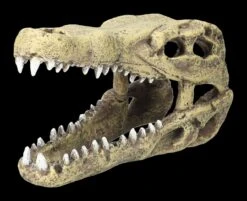 Aquarium Figur - Krokodilkopf M 10 Aquarium Figur - Krokodilkopf M -Statuen Modell Verkauf 2D FS24144 Aquarium Figur Krokodilkopf M 7 1280x1280