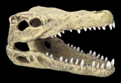 Aquarium Figur - Krokodilkopf M