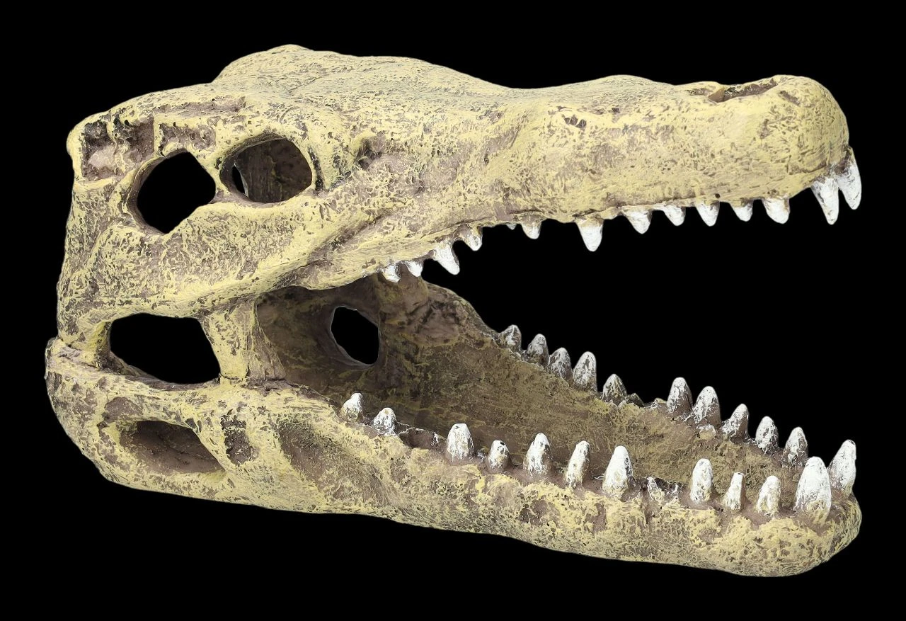 Aquarium Figur - Krokodilkopf M 3 Aquarium Figur - Krokodilkopf M