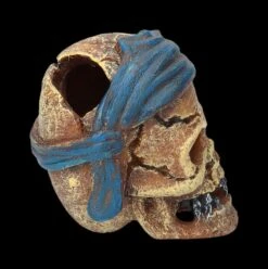 Aquarium Figur - Totenkopf Pirat Mit Tuch -Statuen Modell Verkauf 2D FS24149 Aquarium FigurPriat mit Tuch 4 1280x1280