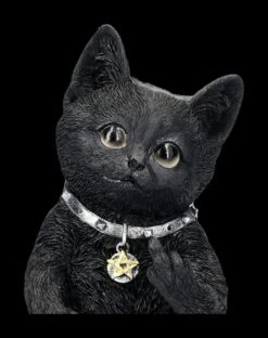 Katzenfigur Zeigt Mittelfinger - Cattitude -Statuen Modell Verkauf 2D FS24201 Katzenfigur zeigt Mittelfinger Cattitude 11 1280x1280