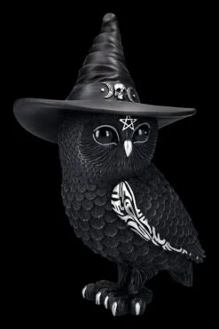 NEMESIS NOW Eulen Figur - Hexe Owlocen Groß -Statuen Modell Verkauf 2D FS24225 Eulen Figur Hexe Owlocen gross 5 1280x1280