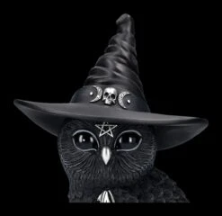 NEMESIS NOW Eulen Figur - Hexe Owlocen Groß -Statuen Modell Verkauf 2D FS24225 Eulen Figur Hexe Owlocen gross 7 1280x1280