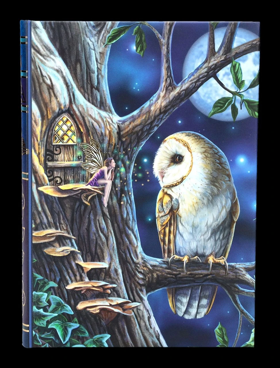 Notizbuch Eule Mit Elfe - Fairy Tales 3 Notizbuch Eule Mit Elfe - Fairy Tales