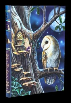 Notizbuch Eule Mit Elfe - Fairy Tales 11 Notizbuch Eule Mit Elfe - Fairy Tales -Statuen Modell Verkauf 2D FS24500 Notizbuch Eule mit Elfe Fairy Tales 6 1280x1280