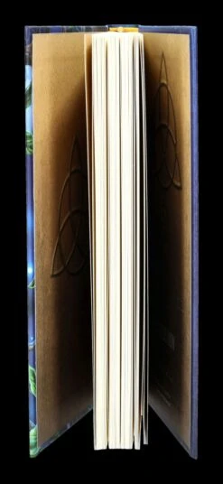 Notizbuch Eule Mit Elfe - Fairy Tales 15 Notizbuch Eule Mit Elfe - Fairy Tales -Statuen Modell Verkauf 2D FS24500 Notizbuch Eule mit Elfe Fairy Tales 8 1280x1280