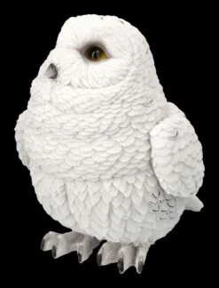 Schneeeulen Figur - Süßes Baby 11 Schneeeulen Figur - Süßes Baby -Statuen Modell Verkauf 2D FS24643 Schneeeulen Figur S sses Baby 7 1280x1280