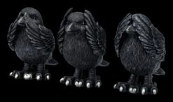 NEMESIS NOW Raben Figuren - Nichts Böses -Statuen Modell Verkauf 2D FS24707 Raben Figuren Nichts Boses 4 1280x1280