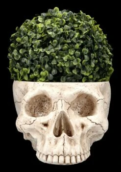 Totenkopf Pflanztopf Knochenfarben Groß 13 Totenkopf Pflanztopf Knochenfarben Groß -Statuen Modell Verkauf 2D FS24736 Totenkopf Pflanztopf Knochenfarben 10 1280x1280