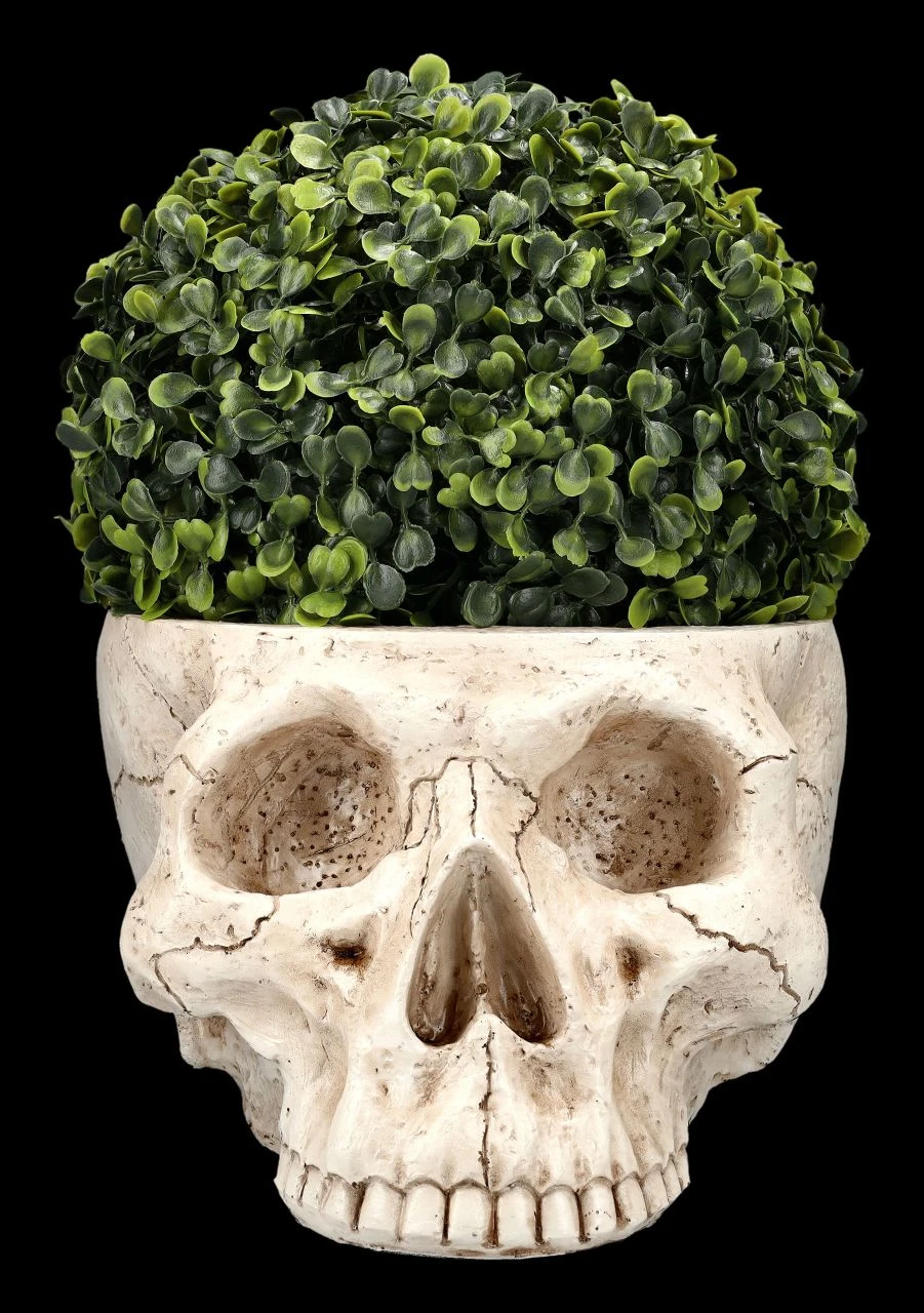 Totenkopf Pflanztopf Knochenfarben Groß 5 Totenkopf Pflanztopf Knochenfarben Groß – Bild 3