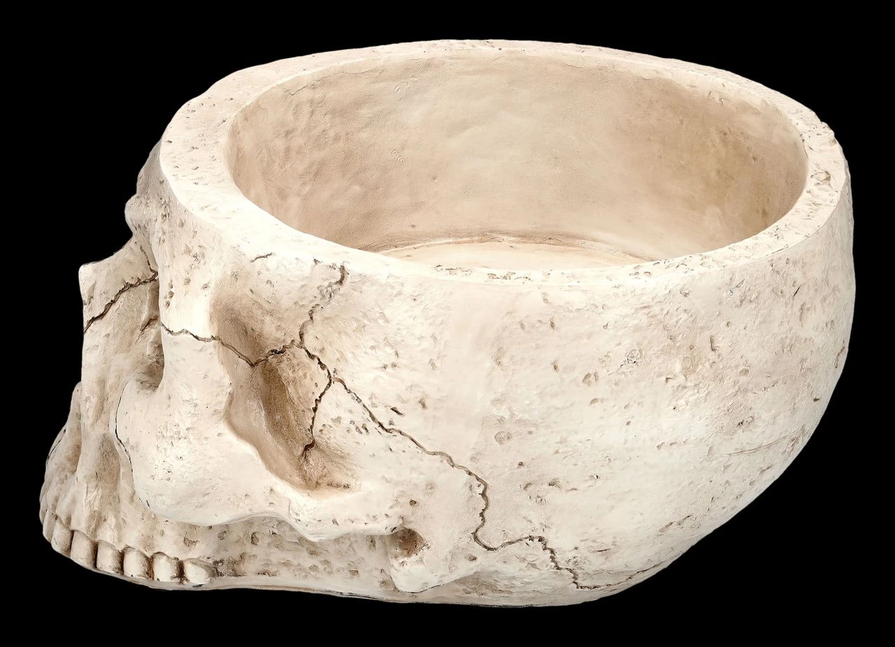Totenkopf Pflanztopf Knochenfarben Groß 9 Totenkopf Pflanztopf Knochenfarben Groß – Bild 7