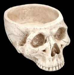 Totenkopf Pflanztopf Knochenfarben Groß 14 Totenkopf Pflanztopf Knochenfarben Groß -Statuen Modell Verkauf 2D FS24736 Totenkopf Pflanztopf Knochenfarben 5 1280x1280
