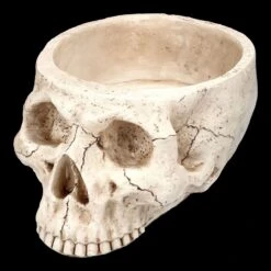 Totenkopf Pflanztopf Knochenfarben Groß 15 Totenkopf Pflanztopf Knochenfarben Groß -Statuen Modell Verkauf 2D FS24736 Totenkopf Pflanztopf Knochenfarben 6 1280x1280