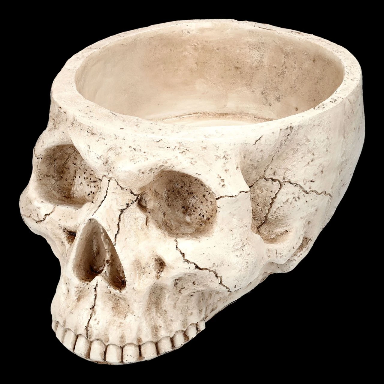 Totenkopf Pflanztopf Knochenfarben Groß 7 Totenkopf Pflanztopf Knochenfarben Groß – Bild 5