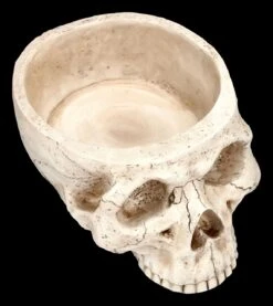 Totenkopf Pflanztopf Knochenfarben Groß 16 Totenkopf Pflanztopf Knochenfarben Groß -Statuen Modell Verkauf 2D FS24736 Totenkopf Pflanztopf Knochenfarben 7 1280x1280