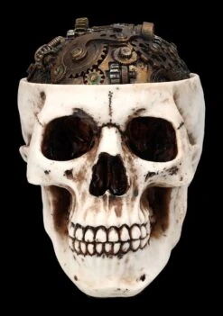 Totenkopf Schatulle - Zahnrad Deckel -Statuen Modell Verkauf 2D FS24740 Totenkopf Schatulle Zahnrad Deckel 1 1280x1280