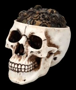Totenkopf Schatulle - Zahnrad Deckel -Statuen Modell Verkauf 2D FS24740 Totenkopf Schatulle Zahnrad Deckel 6 1280x1280