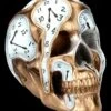 NEMESIS NOW Totenkopf Mit Uhren - Time Goes By -Statuen Modell Verkauf 2D FS25000 Totenkopf mit Uhren Time Goes By 5 1280x1280