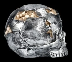 Totenkopf Figur - Fracture Klein -Statuen Modell Verkauf 2D FS25158 Totenkopf Figur Fracture gross 5 1280x1280