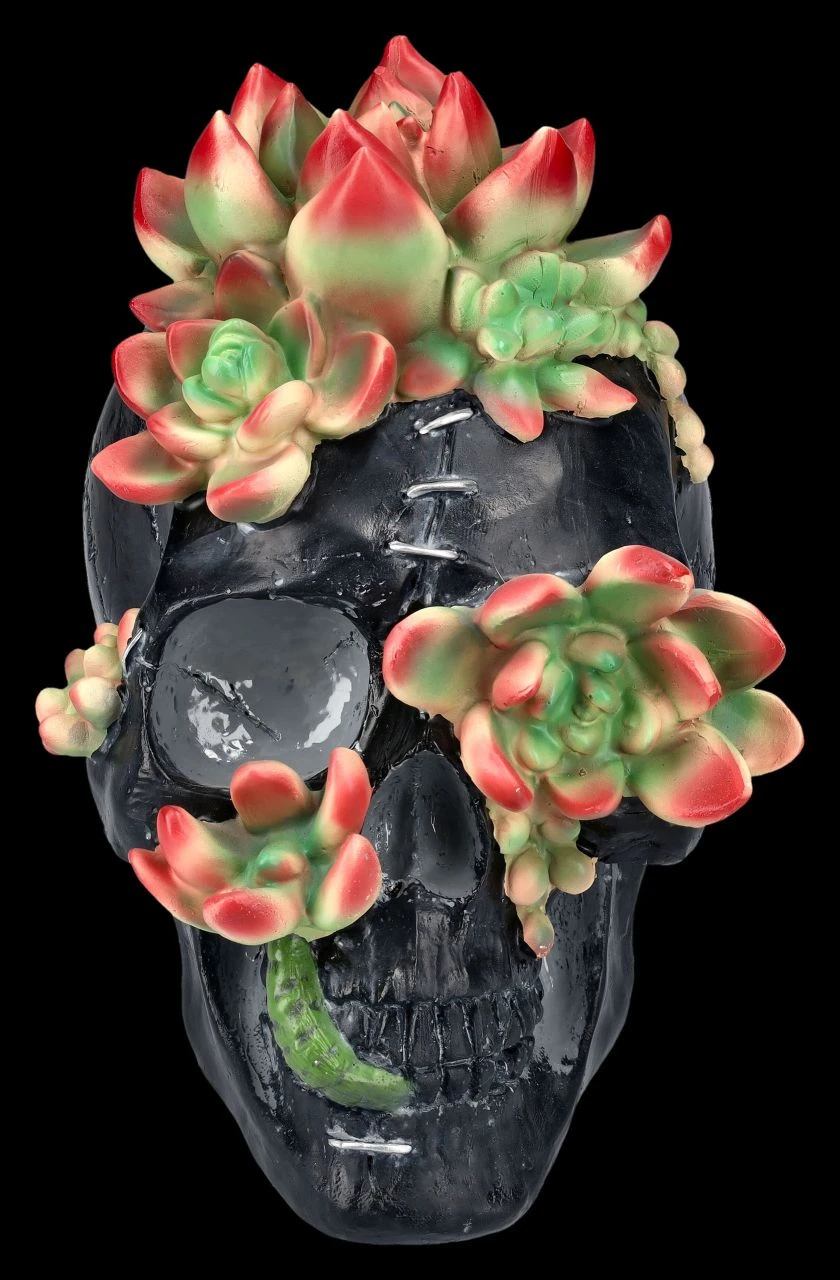 Totenkopf Figur Mit Sukkulenten 5 Totenkopf Figur Mit Sukkulenten – Bild 3