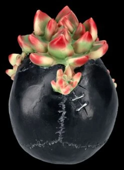 Totenkopf Figur Mit Sukkulenten 15 Totenkopf Figur Mit Sukkulenten -Statuen Modell Verkauf 2D FS25273 Totenkopf Figur mit Sukkulenten 3 1280x1280