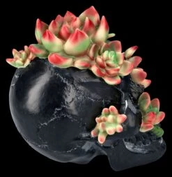 Totenkopf Figur Mit Sukkulenten 16 Totenkopf Figur Mit Sukkulenten -Statuen Modell Verkauf 2D FS25273 Totenkopf Figur mit Sukkulenten 4 1280x1280