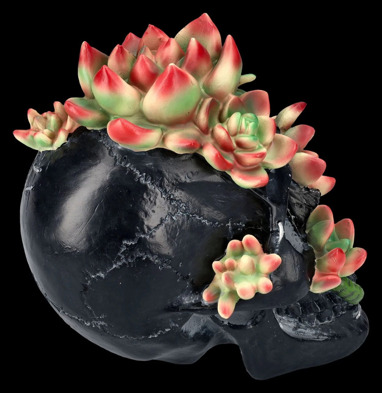 Totenkopf Figur Mit Sukkulenten 9 Totenkopf Figur Mit Sukkulenten – Bild 7