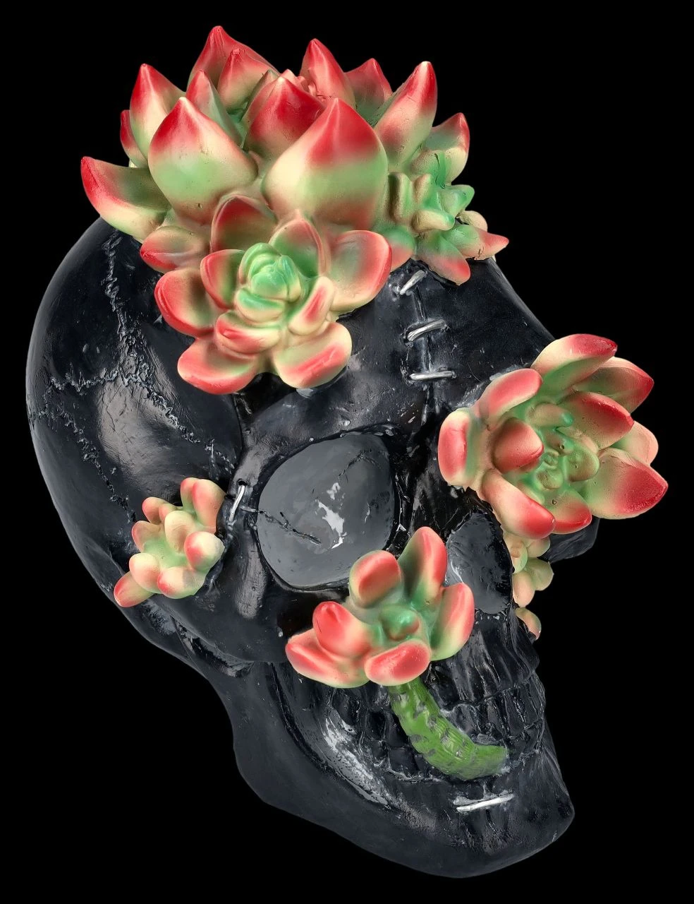 Totenkopf Figur Mit Sukkulenten 4 Totenkopf Figur Mit Sukkulenten – Bild 2