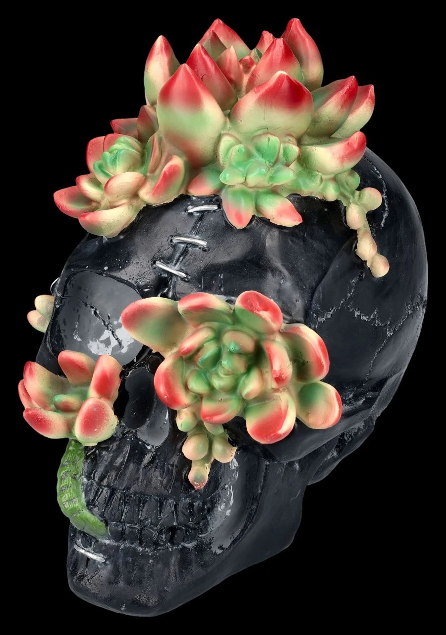 Totenkopf Figur Mit Sukkulenten 3 Totenkopf Figur Mit Sukkulenten