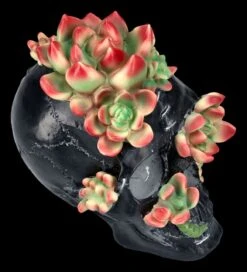 Totenkopf Figur Mit Sukkulenten 13 Totenkopf Figur Mit Sukkulenten -Statuen Modell Verkauf 2D FS25273 Totenkopf Figur mit Sukkulenten 8 1280x1280