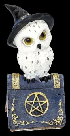 Eulen Figuren Auf Zauberbuch 2er Set -Statuen Modell Verkauf 2D FS25306 Eulen Figuren auf Zauberbuch 2er Set 8 1280x1280