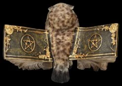 Eulen Figur Braun - Botschafterin Mit Buchflügeln 16 Eulen Figur Braun - Botschafterin Mit Buchflügeln -Statuen Modell Verkauf 2D FS25623 Eulen Figur braun Botschafter mit Buchfl geln 3 1280x1280