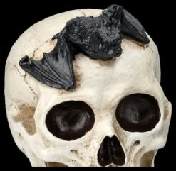 Totenkopf Mit Fledermaus -Statuen Modell Verkauf 2D FS25693 Totenkopf mit Fledermaus 4 1280x1280