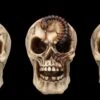 Totenkopf 3er Set - Spinne Skorpion Tausendfüssler