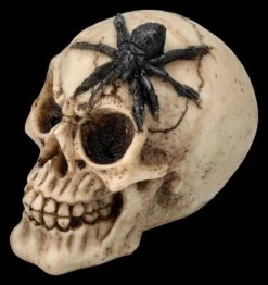 Totenkopf 3er Set - Spinne Skorpion Tausendfüssler -Statuen Modell Verkauf 2D FS25697 Totenkopf 3er Set Spinne Skorpion Tausendf ssler 5 1280x1280