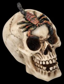 Totenkopf 3er Set - Spinne Skorpion Tausendfüssler -Statuen Modell Verkauf 2D FS25697 Totenkopf 3er Set Spinne Skorpion Tausendf ssler 6 1280x1280