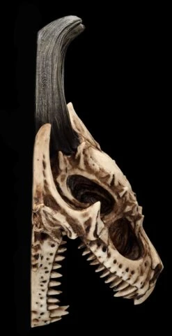 Totenkopf Wanddeko - Fieser Drachen Schädel -Statuen Modell Verkauf 2D FS26191 Totenkopf Figur Fieser Drachen Sch del 12 1280x1280