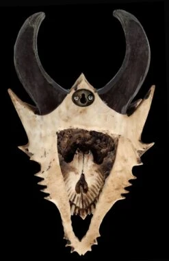 Totenkopf Wanddeko - Fieser Drachen Schädel -Statuen Modell Verkauf 2D FS26191 Totenkopf Figur Fieser Drachen Sch del 14 1280x1280