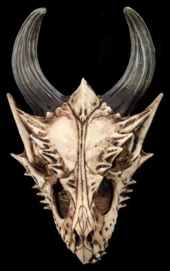 Totenkopf Wanddeko - Fieser Drachen Schädel -Statuen Modell Verkauf 2D FS26191 Totenkopf Figur Fieser Drachen Sch del 3 1280x1280