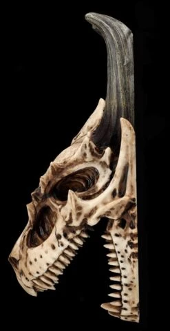 Totenkopf Wanddeko - Fieser Drachen Schädel -Statuen Modell Verkauf 2D FS26191 Totenkopf Figur Fieser Drachen Sch del 5 1280x1280