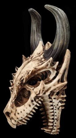 Totenkopf Wanddeko - Fieser Drachen Schädel -Statuen Modell Verkauf 2D FS26191 Totenkopf Figur Fieser Drachen Sch del 6 1280x1280
