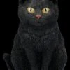 Katzenfigur - Schwarzer Kater -Statuen Modell Verkauf 2D FS26284 Katzenfigur Schwarzer Kater 1 1280x1280
