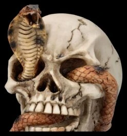 Totenkopf Figur - Kobra Schädel -Statuen Modell Verkauf 2D FS26522 Totenkopf Figur Kobra Sch del 2 1280x1280