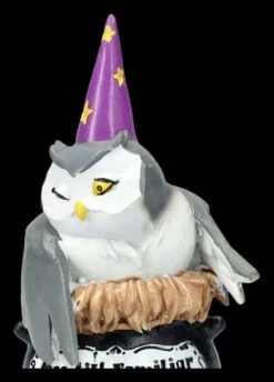 NEMESIS NOW Eulen Figur - My Lil Familiar - Alden 17 NEMESIS NOW Eulen Figur - My Lil Familiar - Alden -Statuen Modell Verkauf 2D FS26689 Eulen Figur My lil Familiar Alden 1 1280x1280