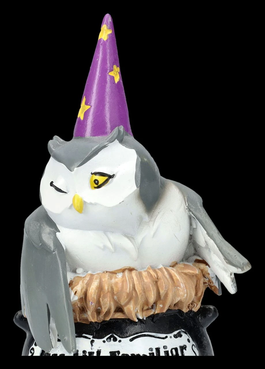 NEMESIS NOW Eulen Figur - My Lil Familiar - Alden 10 NEMESIS NOW Eulen Figur - My Lil Familiar - Alden – Bild 8