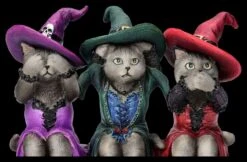 Katzenfigur - Drei Weise Hexenkätzchen -Statuen Modell Verkauf 2D FS26726 Katzenfigur Drei weise Hexenkatzchen 7 1280x1280