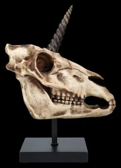 Einhorn Totenkopf Auf Ständer 12 Einhorn Totenkopf Auf Ständer -Statuen Modell Verkauf 2D FS26768 Einhorn Totenkopf auf Stander 1 1280x1280